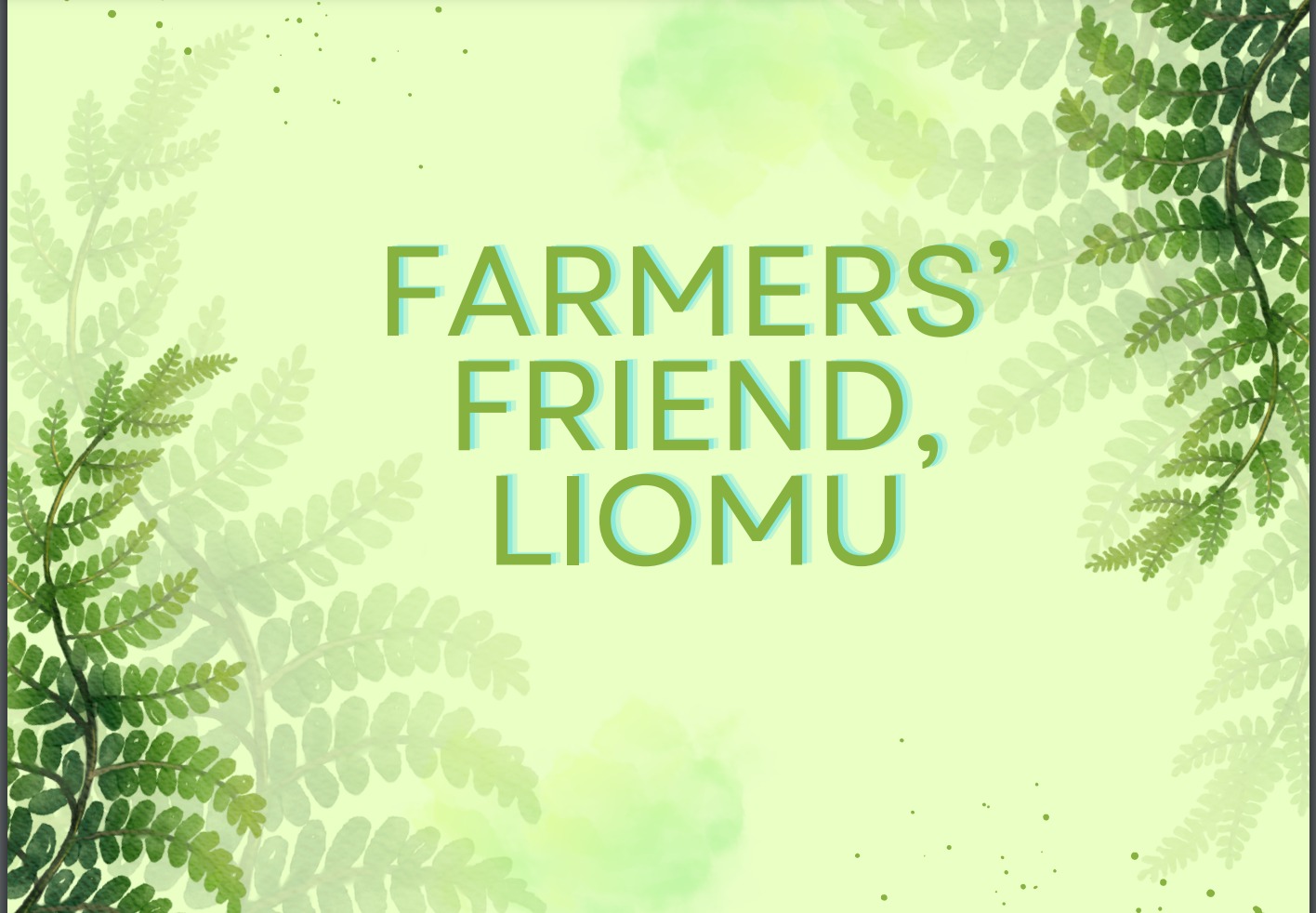 WhatsApp Image 2025-01-10 at 11.08.29 PM