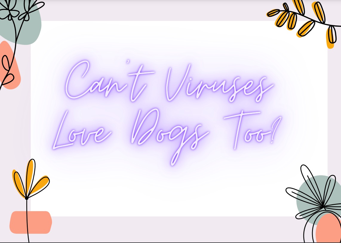 WhatsApp Image 2025-01-10 at 5.42.33 PM