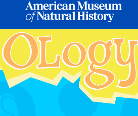 https://www.amnh.org/explore/ology